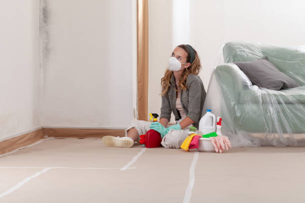 Reliable Mold Remediation contractor in Traverse City, MI by 24 Hour Mold Removal